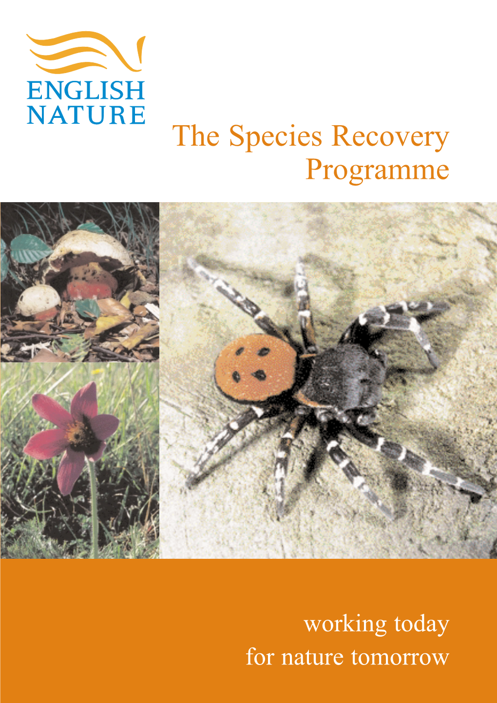 The Species Recovery Programme