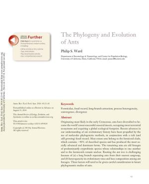 The Phylogeny and Evolution of Ants