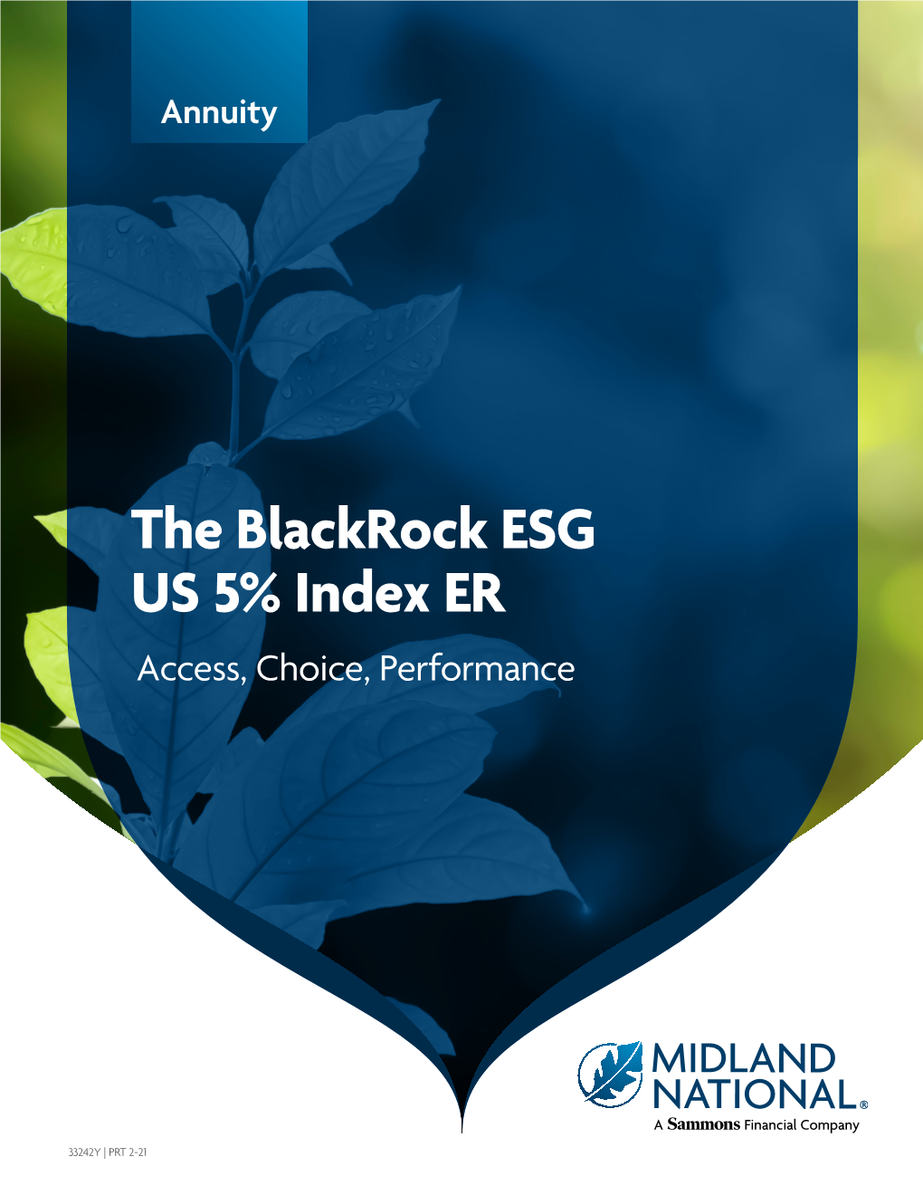 Blackrock ESG US 5% Index ER Brochure (33242Y)