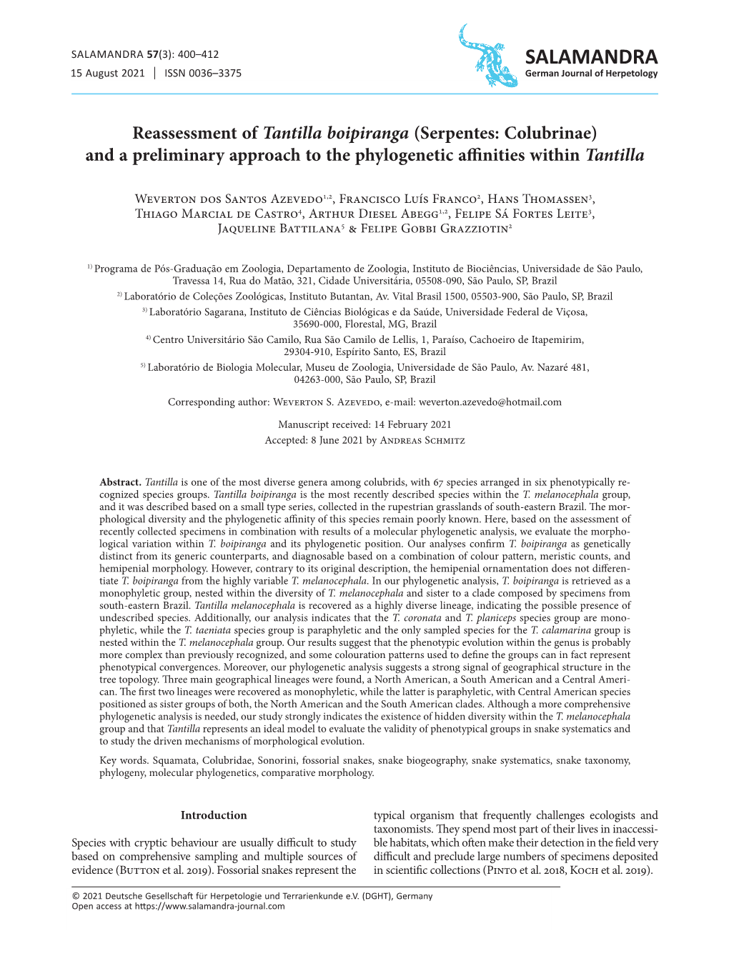 Reassessment of Tantilla Boipiranga (Serpentes: Colubrinae) and a Preliminary Approach to the Phylogenetic Affinities Within Tantilla