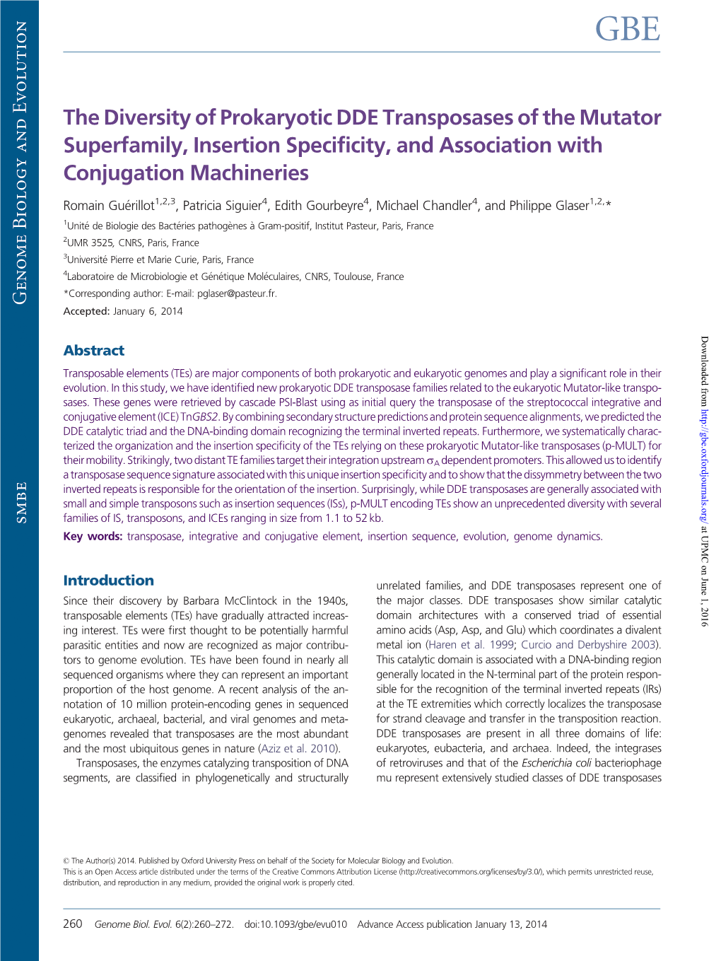 The Diversity of Prokaryotic DDE Transposases of the Mutator Superfamily, Insertion Specificity, and Association with Conjugation Machineries