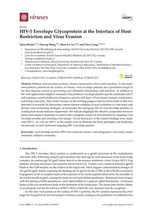 HIV-1 Envelope Glycoprotein at the Interface of Host Restriction and Virus Evasion