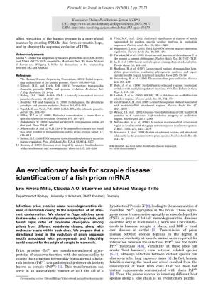 An Evolutionary Basis for Scrapie Disease : Identification of a Fish