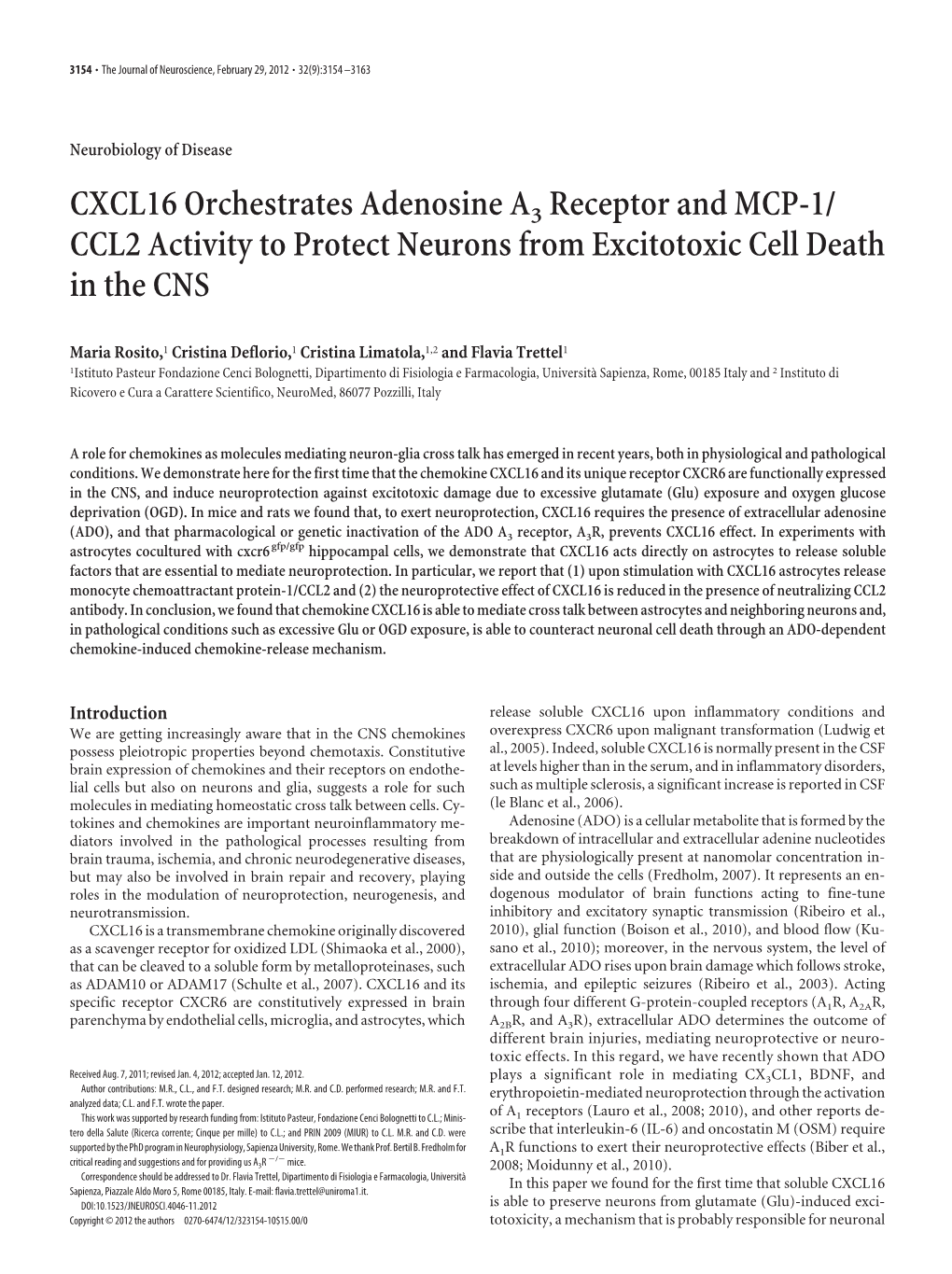 CXCL16 Orchestrates Adenosine A3 Receptor and MCP-1/ CCL2 Activity to Protect Neurons from Excitotoxic Cell Death in the CNS