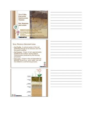 SOIL PROFILE DESCRIPTIONS ______ Soil Profile: a Vertical Section of the Soil Extending Through All Its Horizons and Into ______The Parent Material
