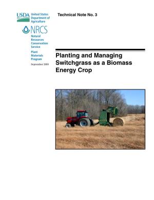 Planting and Managing Switchgrass As a Biomass Energy Crop