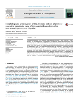 Morphology and Ultrastructure of the Allomone and Sex-Pheromone Producing Mandibular Gland of the Parasitoid Wasp Leptopilina Heterotoma (Hymenoptera: Figitidae)