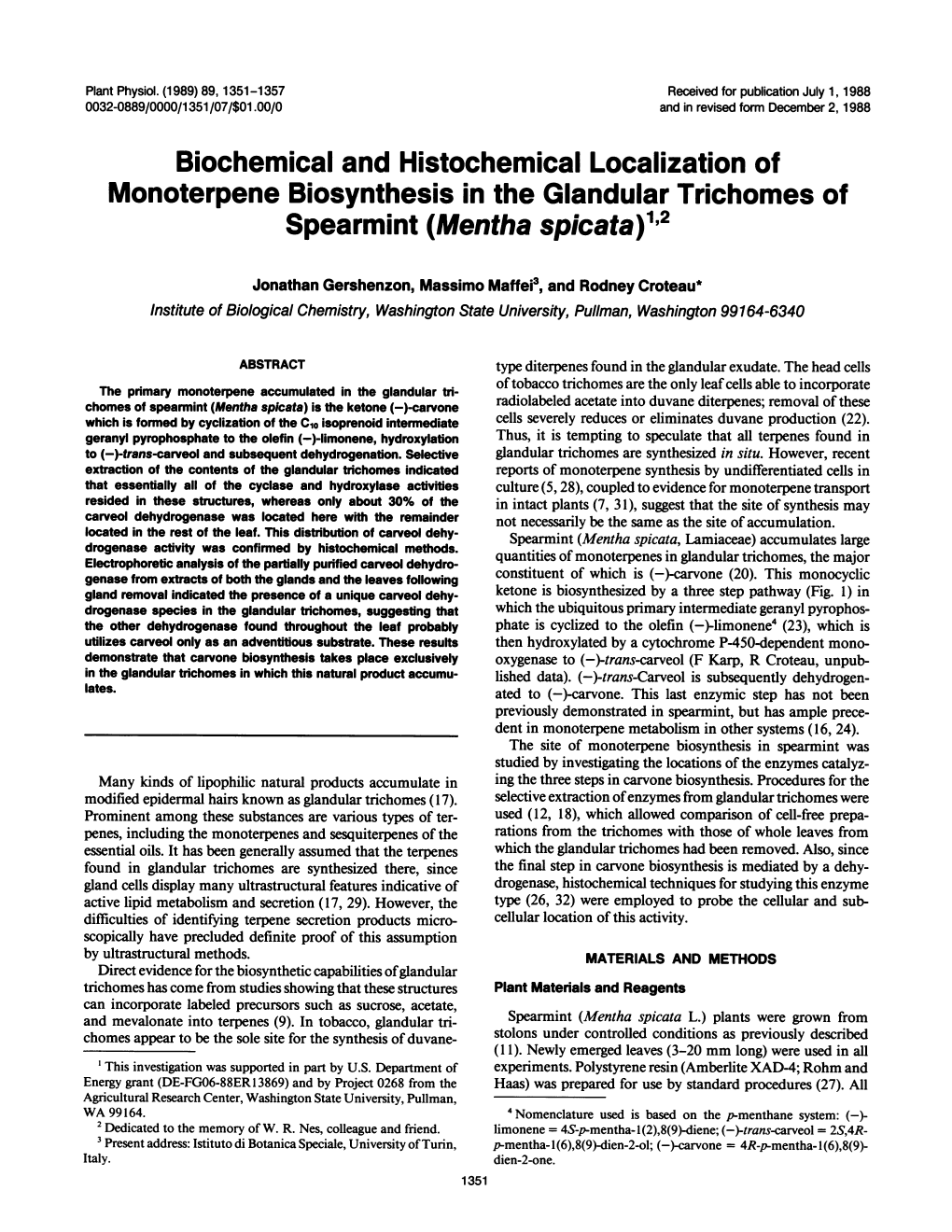 Monoterpene Biosynthesis in the Glandulartrichomes Of