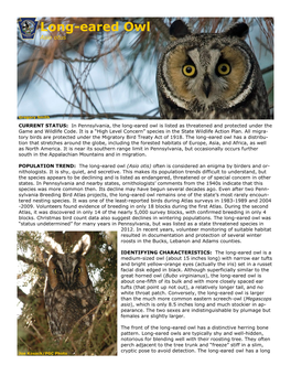 Long-Eared Owl Asio Otus