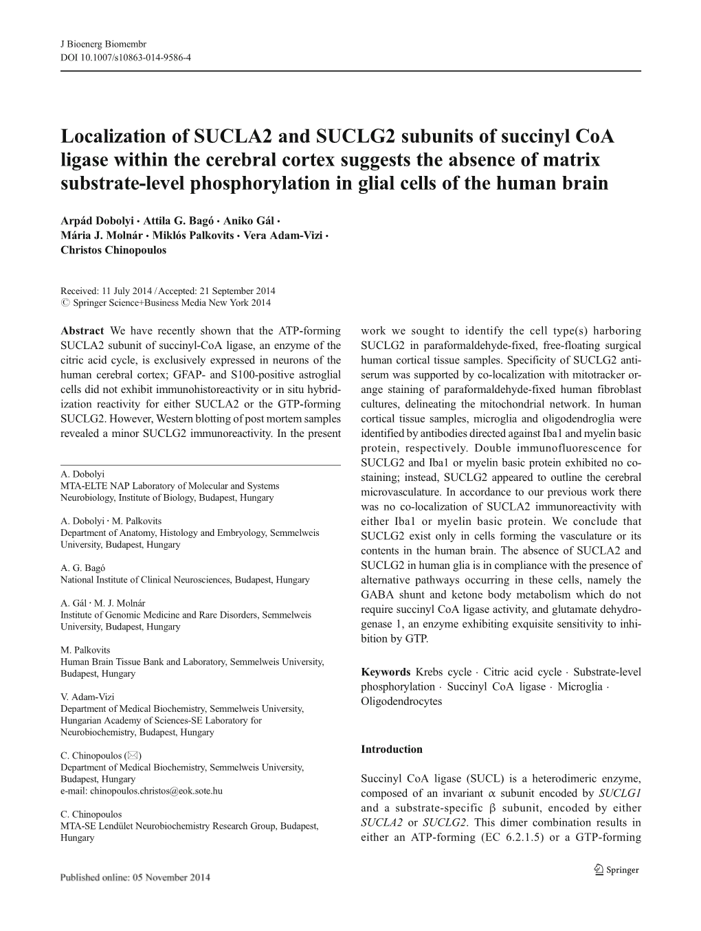 Localization of SUCLA2 and SUCLG2 Subunits of Succinyl Coa Ligase