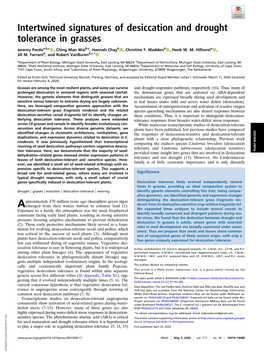 Intertwined Signatures of Desiccation and Drought Tolerance in Grasses