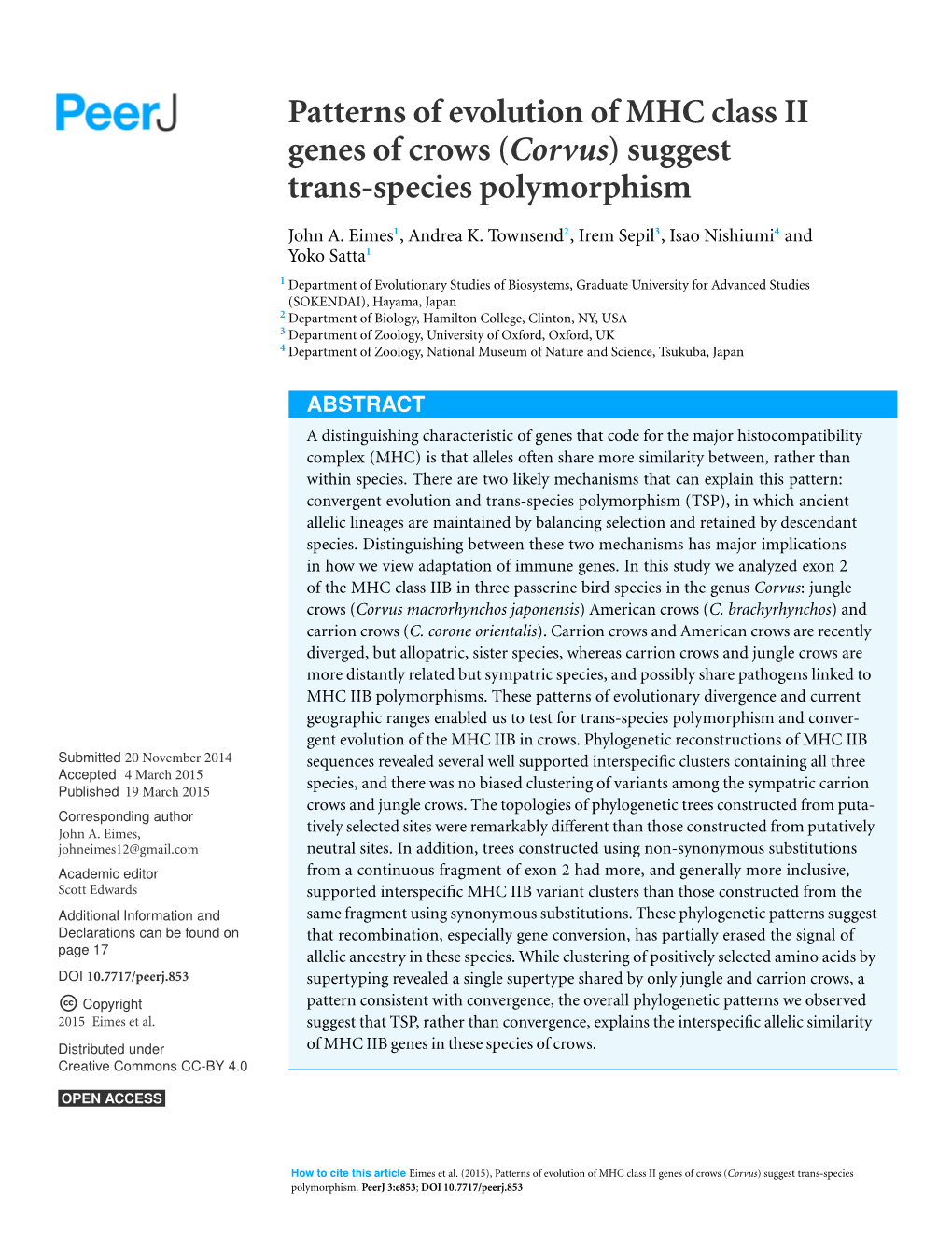 Patterns of Evolution of MHC Class II Genes of Crows (Corvus) Suggest Trans-Species Polymorphism