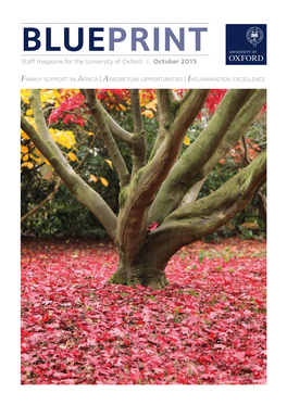 Staff Magazine for the University of Oxford | October 2015