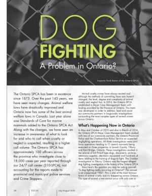Dog Fighting: a Problem in Ontario?