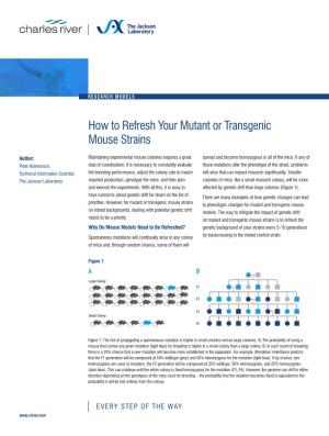 How to Refresh Your Mutant Or Transgenic Mouse Strains