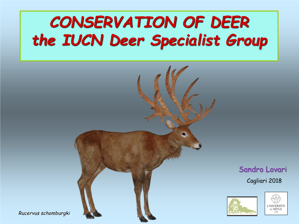CONSERVATION of DEER the IUCN Deer Specialist Group