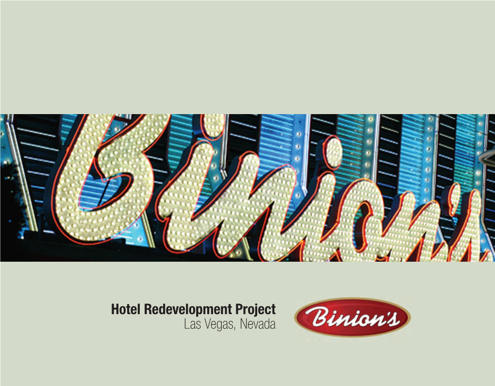 Binions Brochure