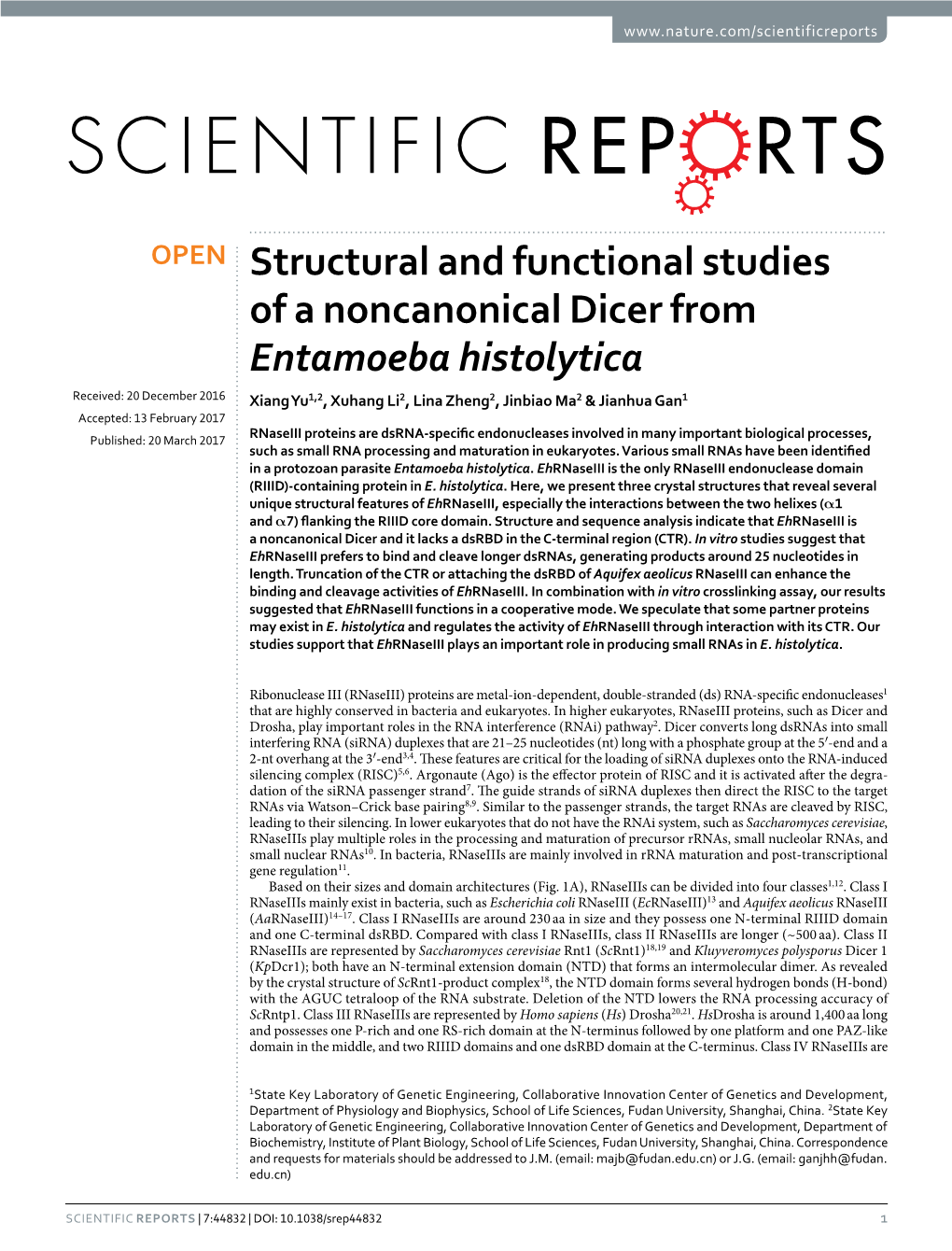 Structural and Functional Studies of a Noncanonical Dicer From