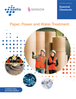 Paper, Power and Water Treatment