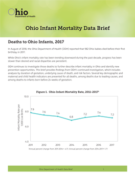 Ohio Infant Mortality Data Brief
