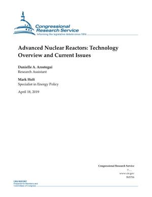 Advanced Nuclear Reactors: Technology Overview and Current Issues