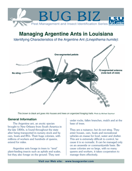 Managing Argentine Ants in Louisiana Identifying Characteristics of the Argentine Ant (Linepithema Humile)