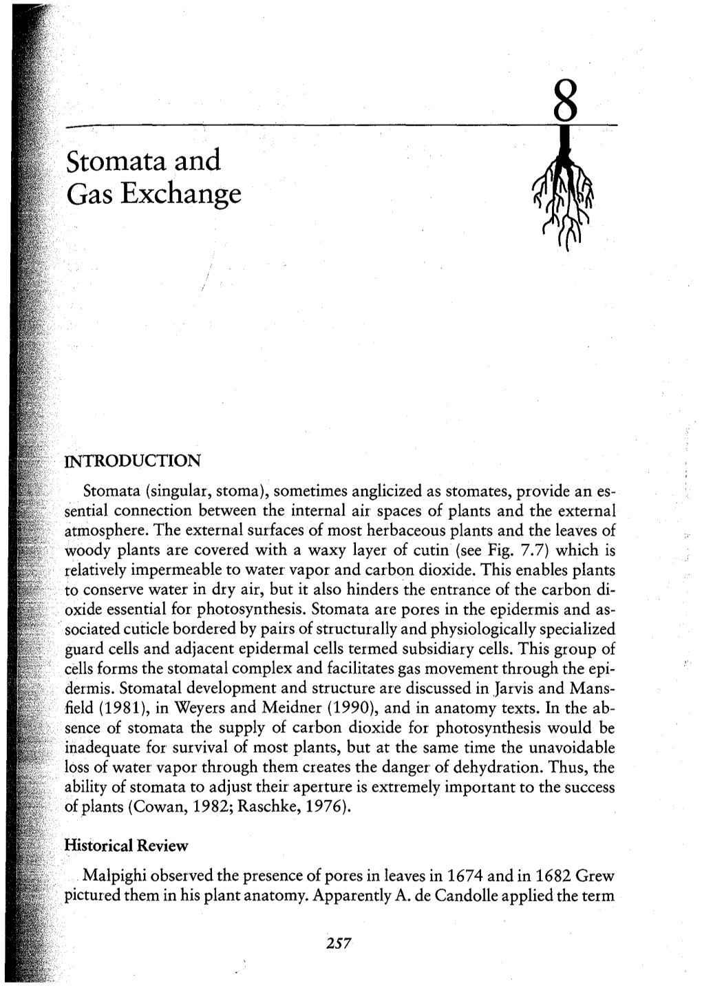 Stomata and Gas Exchange