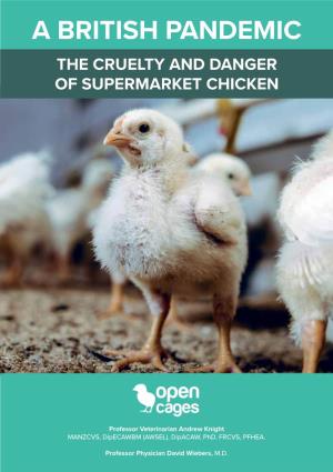 A British Pandemic the Cruelty and Danger of Supermarket Chicken