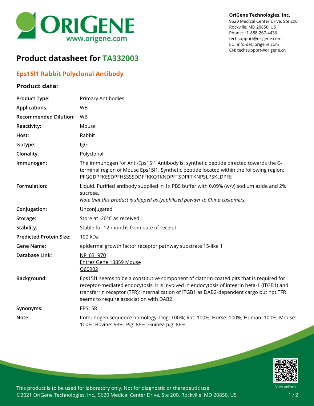 Eps15l1 Rabbit Polyclonal Antibody – TA332003 | Origene