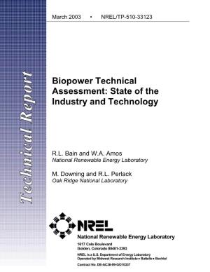 Biopower Technical Assessment: State of the Industry and Technology