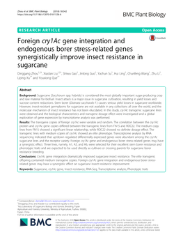 Foreign Cry1ac Gene Integration and Endogenous Borer Stress-Related