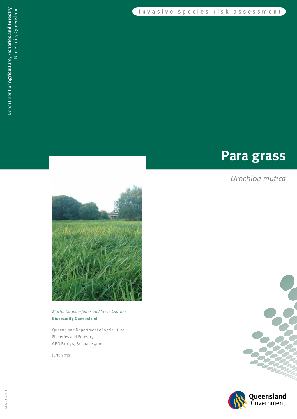 Para Grass (Urochloa Mutica) Is a Semi-Aquatic Plant Native to Tropical Africa