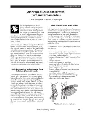 Arthropods Associated with Turf and Ornamentals