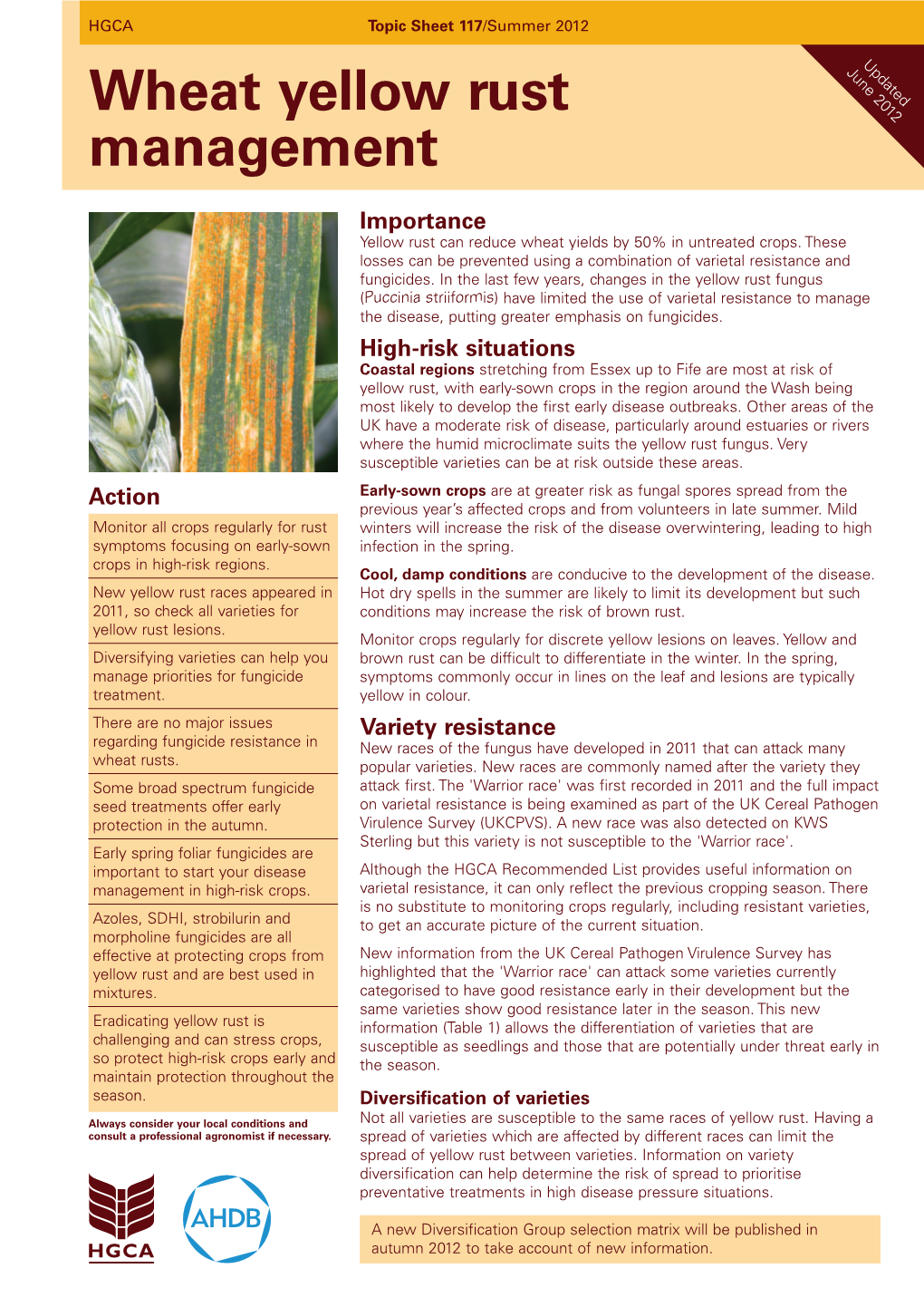 Wheat Yellow Rust Management ©Agriculture and Horticulture Development Topic Sheets and Project Progress Are Free to Levy Payers Board 2012