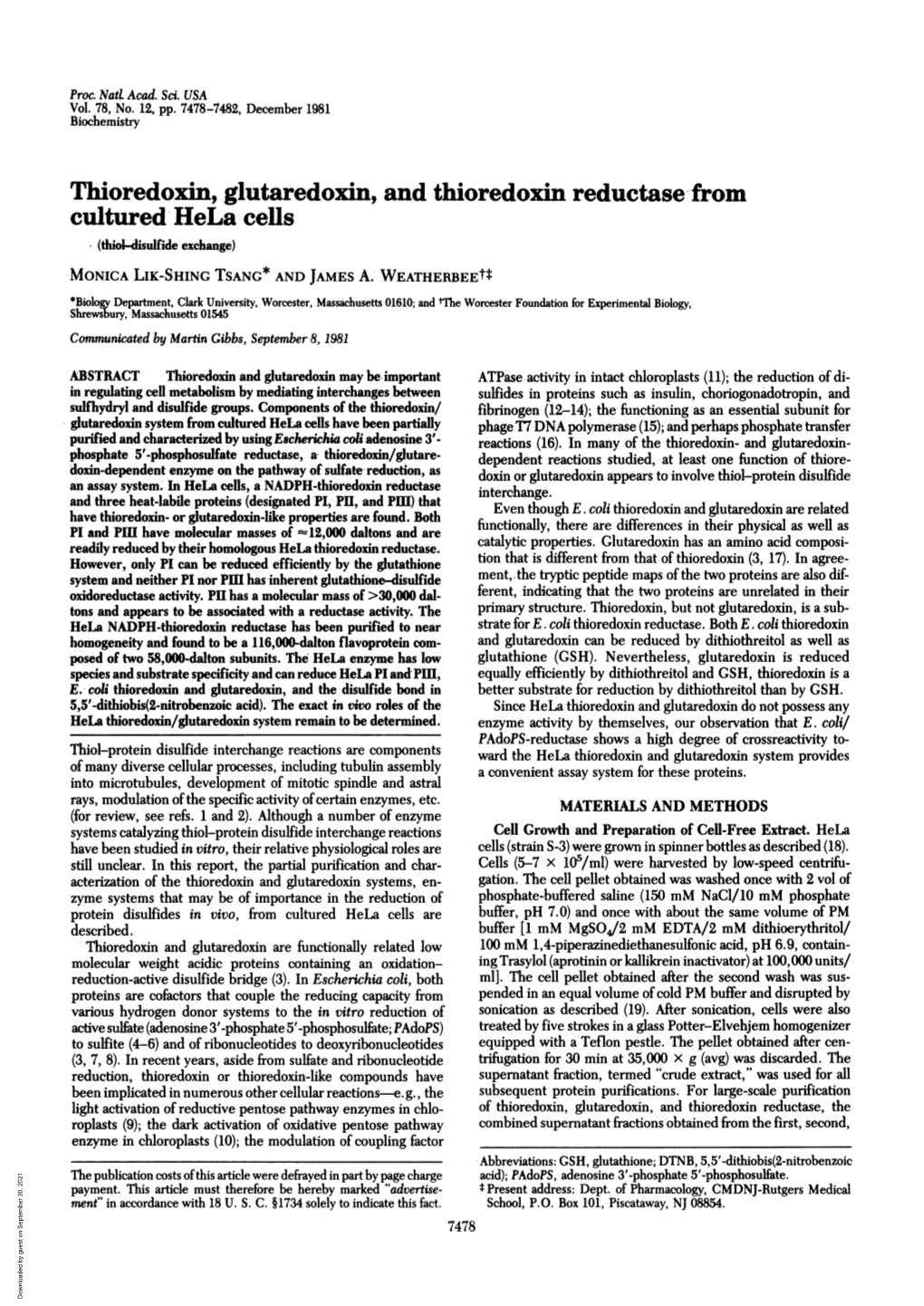 Thioredoxm, Glutaredoxin, and Thioredoxm Reductase from Cultured Hela Cells (Thiol-Disulfide Exchange) MONICA LIK-SHING TSANG* and JAMES A