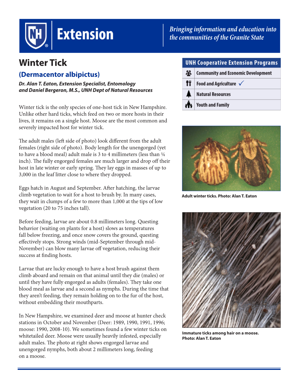 Winter Tick (Dermacentor Albipictus) Dr