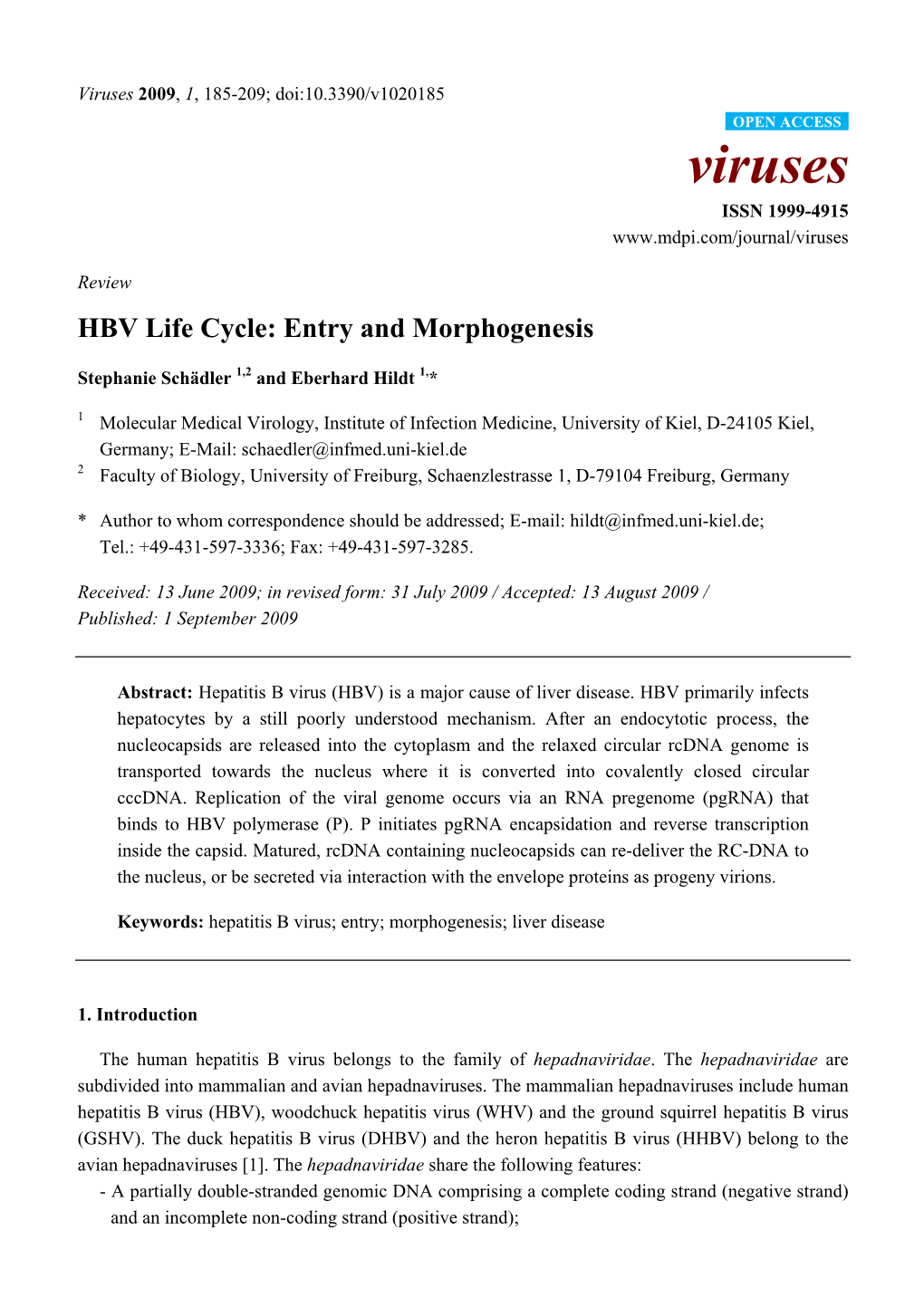 HBV Life Cycle: Entry and Morphogenesis