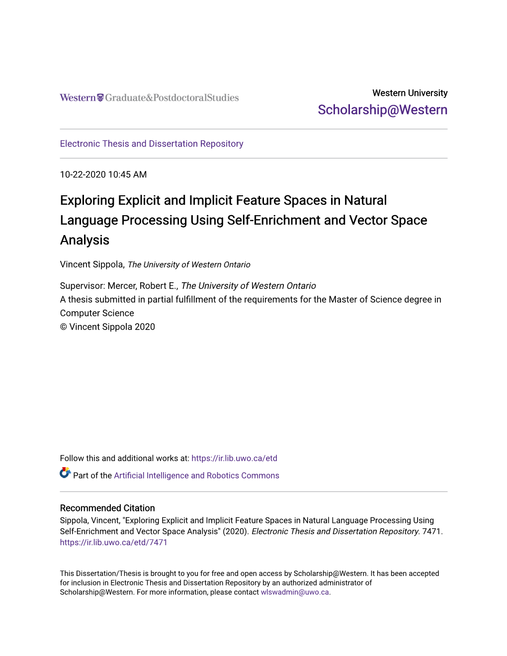 Exploring Explicit and Implicit Feature Spaces in Natural Language Processing Using Self-Enrichment and Vector Space Analysis