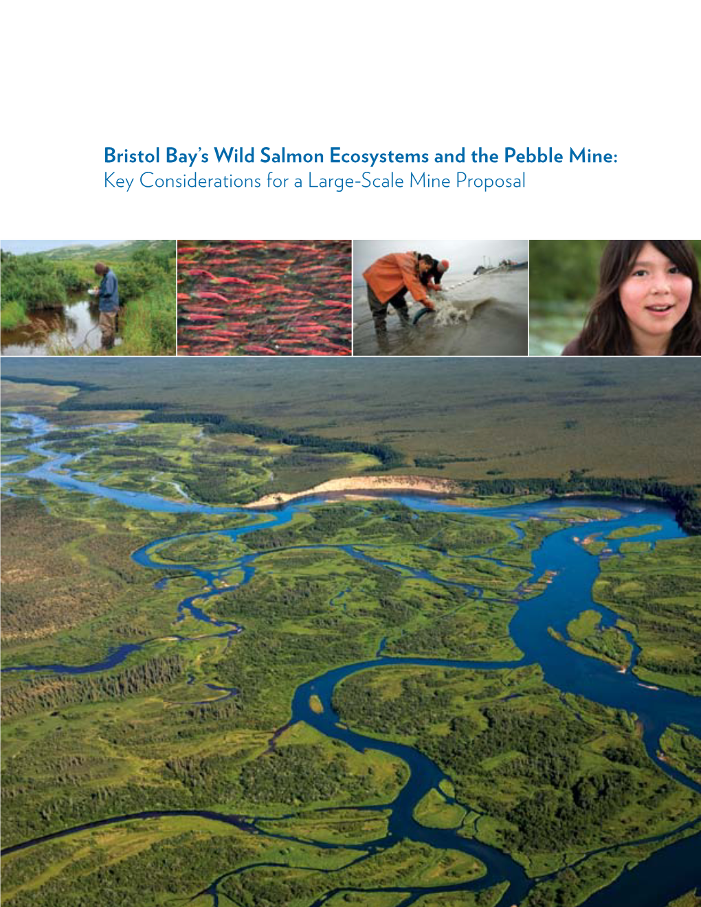 Bristol Bay's Wild Salmon Ecosystems and the Pebble Mine