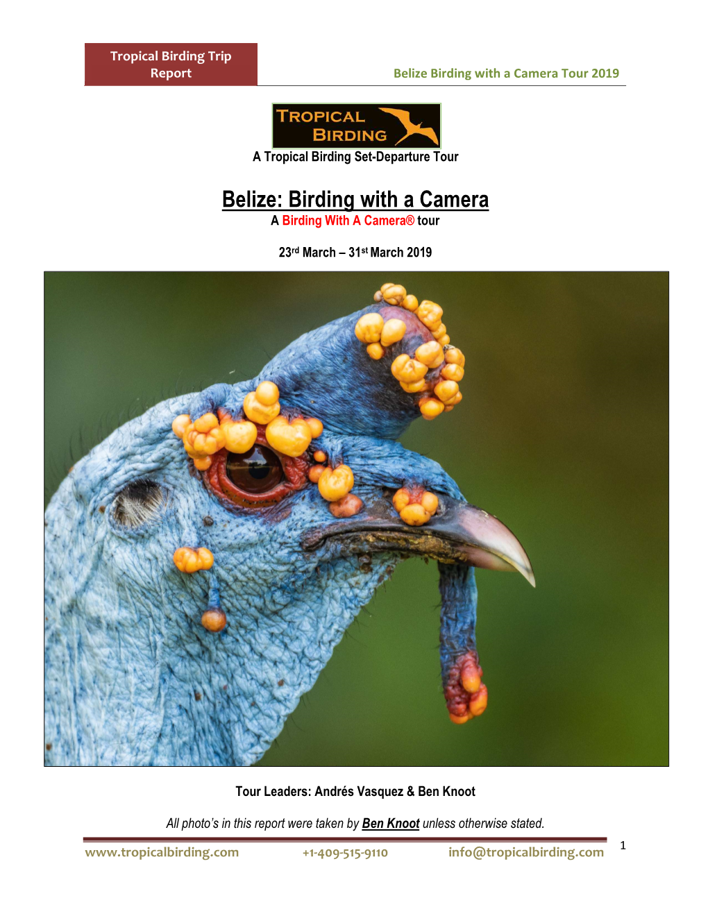 Belize Birding with a Camera Tour 2019