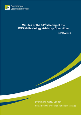 Minutes of the 31 Meeting of the GSS Methodology Advisory Committee