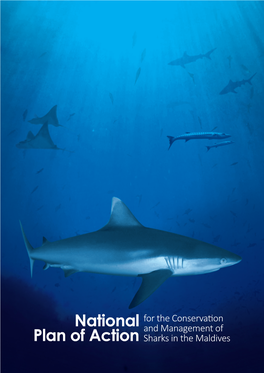 Shark Action Plan 2015 for the Maldives 8 August Pdf Document