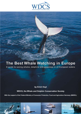 The Best Whale Watching in Europe a Guide to Seeing Whales, Dolphins and Porpoises in All European Waters