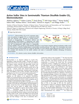 1. Active Sulfur Sites in Semimetallic Titanium Disulﬁde Enable CO2 Electroreduction