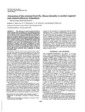 Attraction of the Oriental Fruit Fly, Dacus Dorsalis, to Methyl Eugenol and Related Olfactory Stimulants (Olfaction/Receptor/Methyl Eugenol Isosteres) ROBERT L