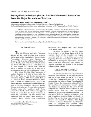 Bovini: Bovidae: Mammalia) Lower Case from the Pinjor Formation of Pakistan