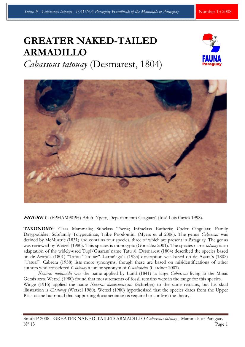 GREATER NAKED-TAILED ARMADILLO Cabassous Tatouay (Desmarest, 1804)