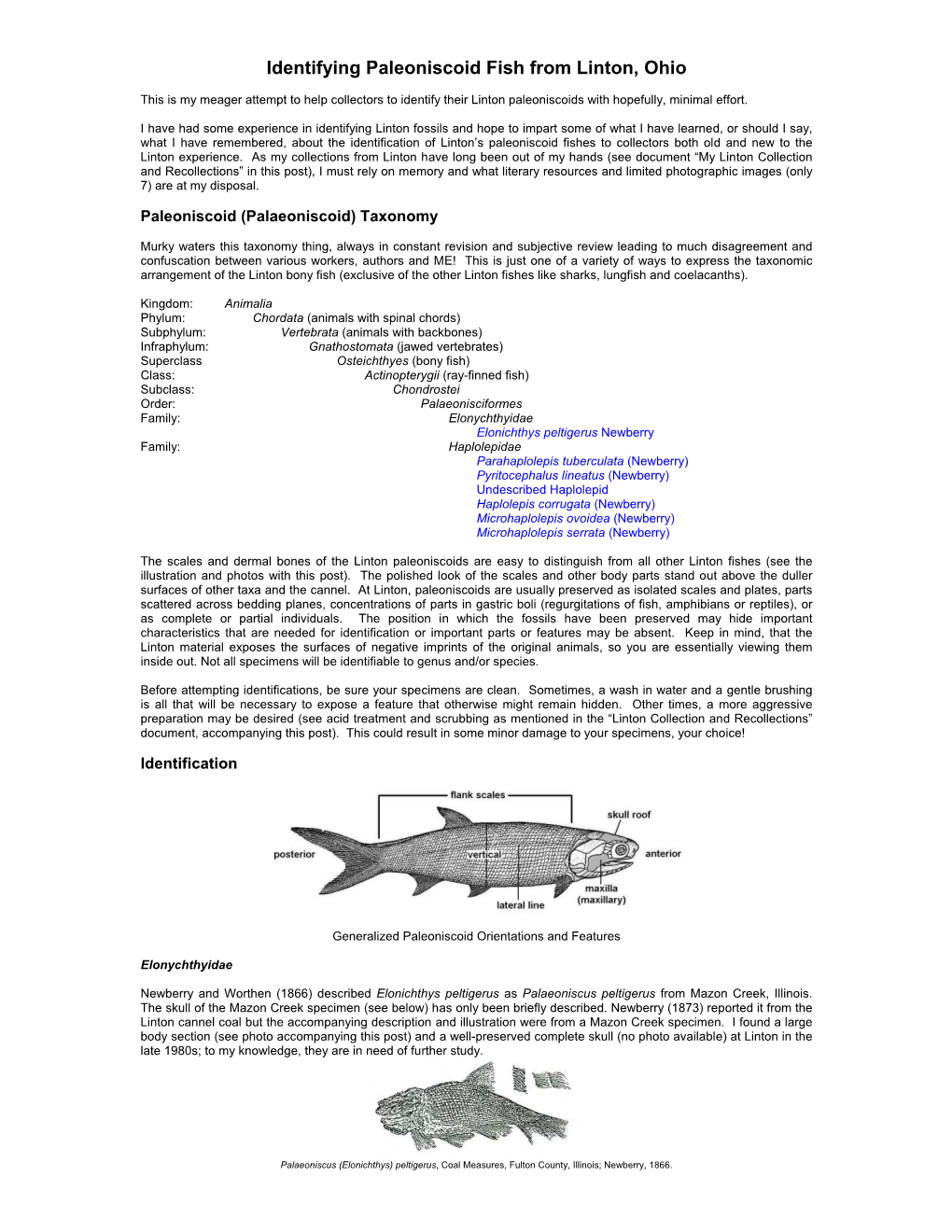 Identifying Linton Paleoniscoid Fish