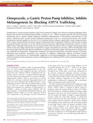 Omeprazole, a Gastric Proton Pump Inhibitor, Inhibits Melanogenesis by Blocking ATP7A Trafficking