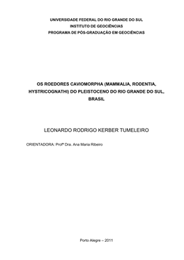 Leonardo Rodrigo Kerber Tumeleiro